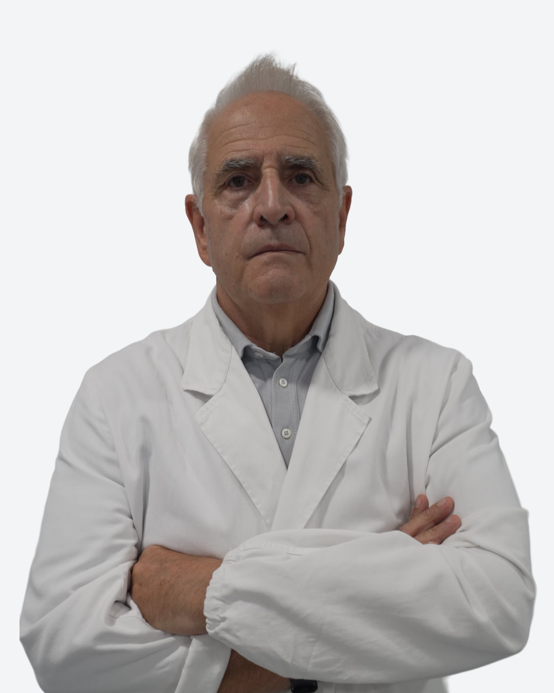 Ciccarini