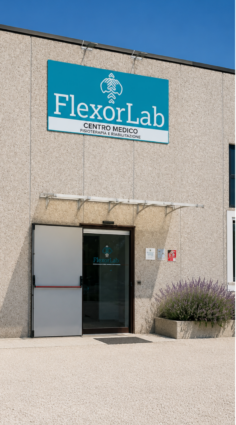 flexor trevi
